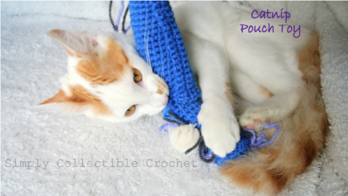 Catnip Pouch Cat Toy Crochet Pattern