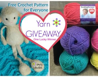 Yarn Giveaway right here!