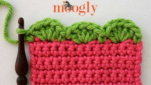 Border crochet with scalloped edging also known as shell stitch border