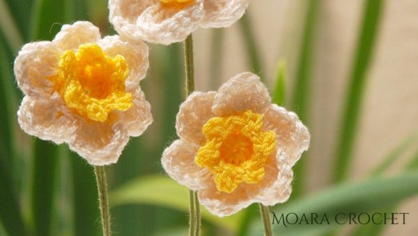 Crochet Daffodil 
