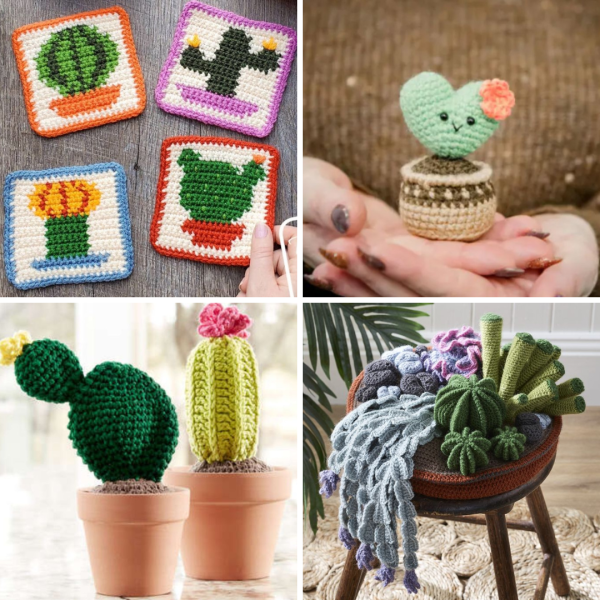35+ Cute Crochet Cactus Garden Free Patterns
