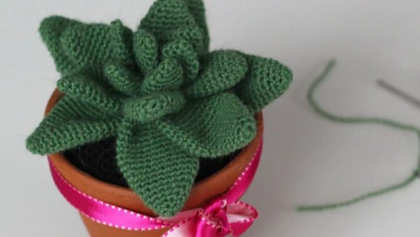 Potted Crochet Agave