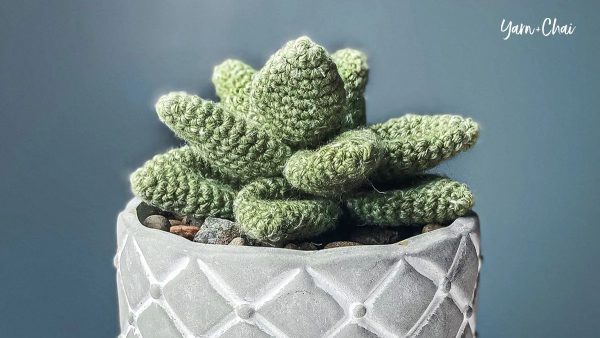 Desktop Crochet Succulent