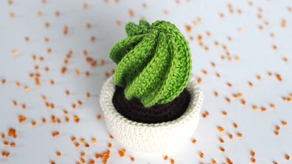 Crochet Spiral Cactus
